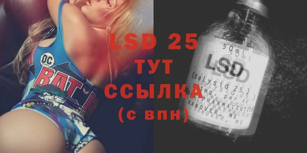 спиды Новозыбков