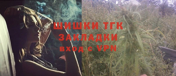 спиды Новозыбков